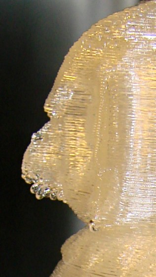 M2 - cushwa Owl - beak detail