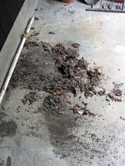 Litter under garden tool rack