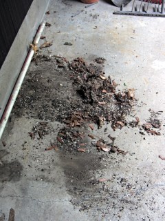 Litter under garden tool rack