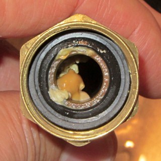 Growth in Hot Water Heater Tube