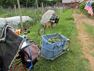 Tour Easy with BOB Yak - hauling onions