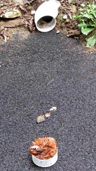 Driveway drain - clogged 