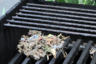 Mouse nest in grill - foundation