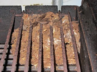 Mouse nest in grill - finished