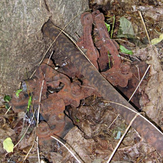 DCRT Abandoned Switchgear - rod in tree trunk - detail