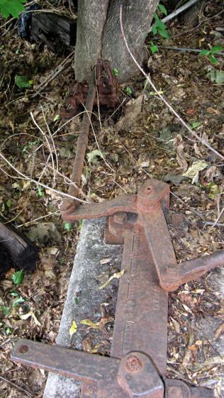DCRT Abandoned Switchgear - rod in tree trunk