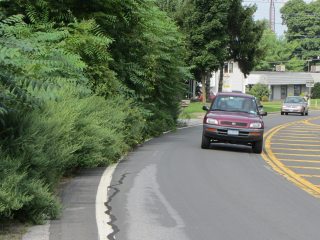 Rt 376 Overgrowth - south of DC Airport intersection