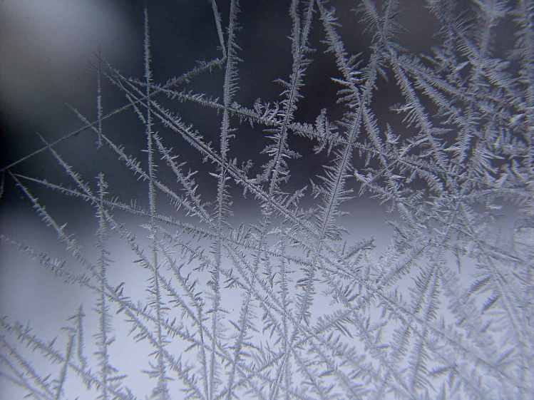 Window Ice Spines