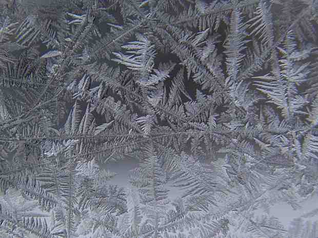 Window Ice Feathers