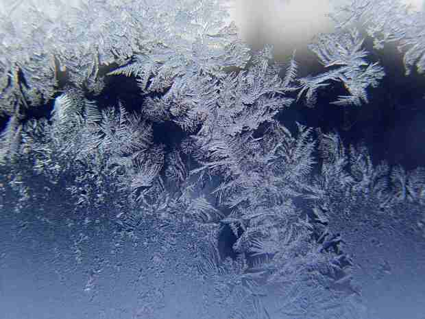 Window Ice Feathers