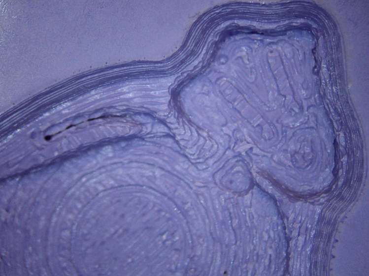 Tux Gradient - silicone negative detail