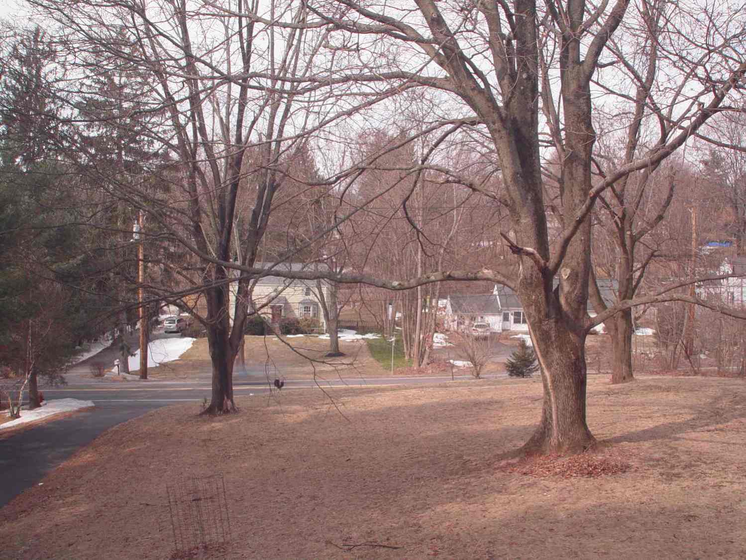 Front yard - ND2-4-8 filters