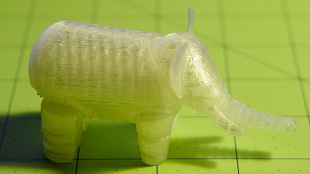 Elephant - standing