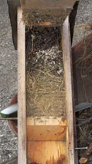 Bird box - stacked nests