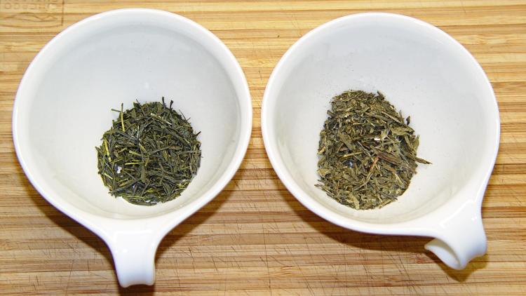 Japanese vs Chinese Sencha Green Tea