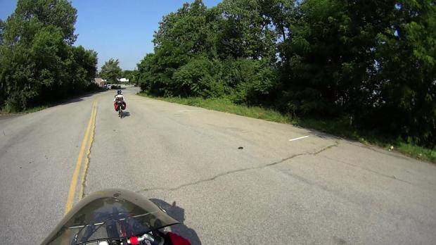 Turtle on Love Rd - as spotted - 2014-07-02