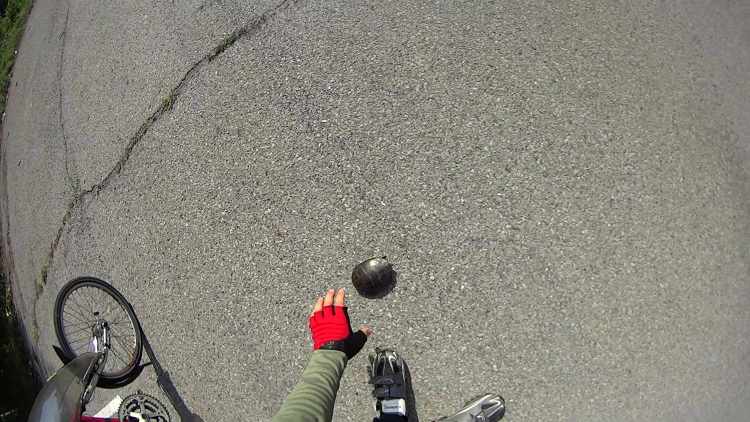 Turtle on Love Rd - pickup - 2014-07-02