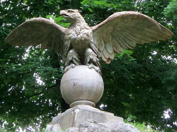 Eagle at St Basils Academy - cliff