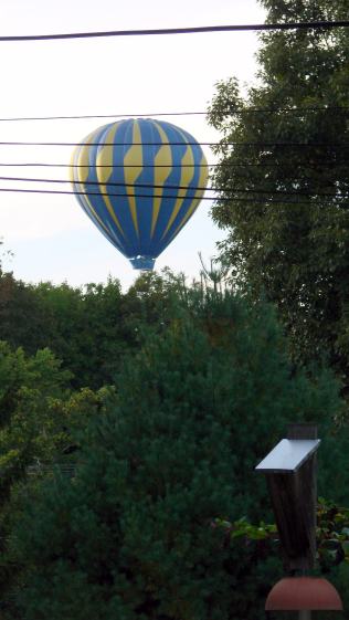 Hot Air Balloon - Red Oaks Mill