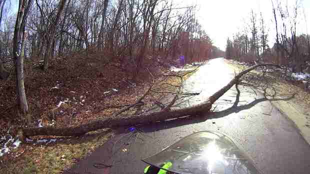 DCRT - fallen tree