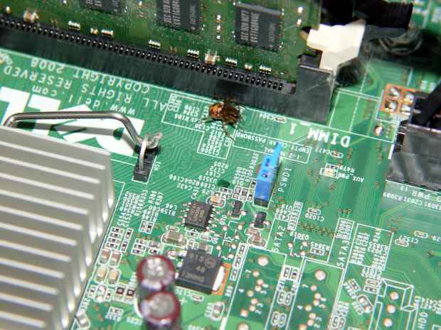Spider in Optiplex 760