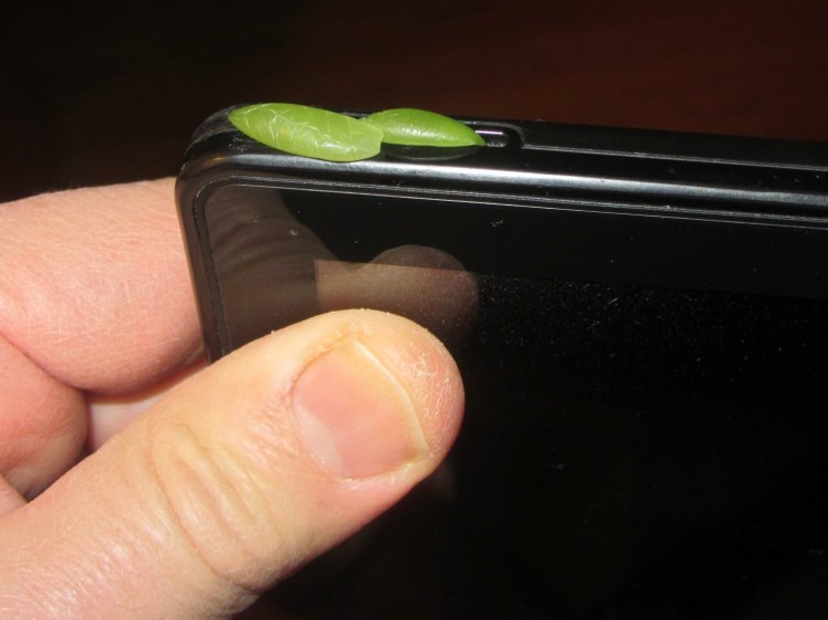 Lambs Tail leaves atop Kindle Fire
