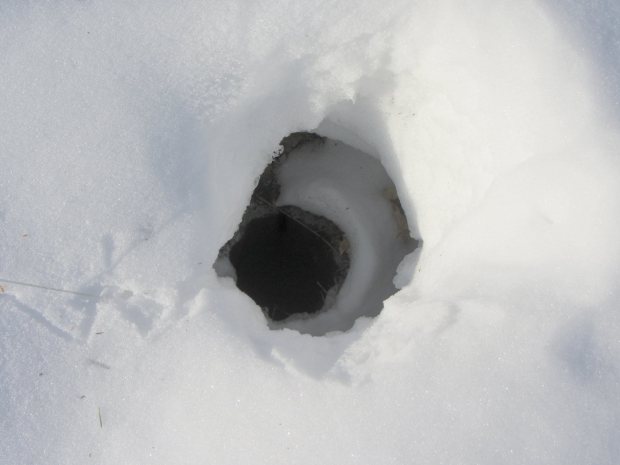 Well Pit - NE vent
