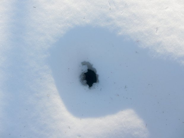 Well Pit - SW vent