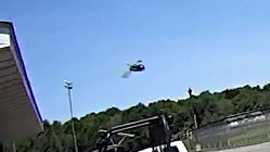 HDR-AS30V 1280x720-60 - Insect 2 - crop