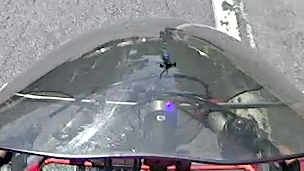 HDR-AS30V 1280x720-60 - Insect - crop