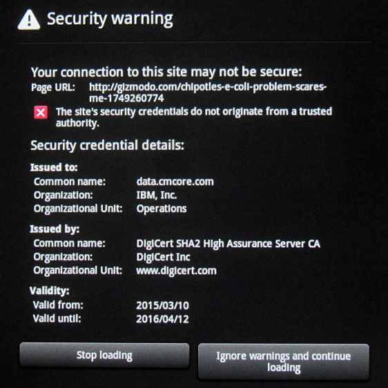 Web Security Warning
