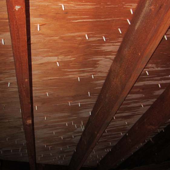 Roof Nail Frost - overview