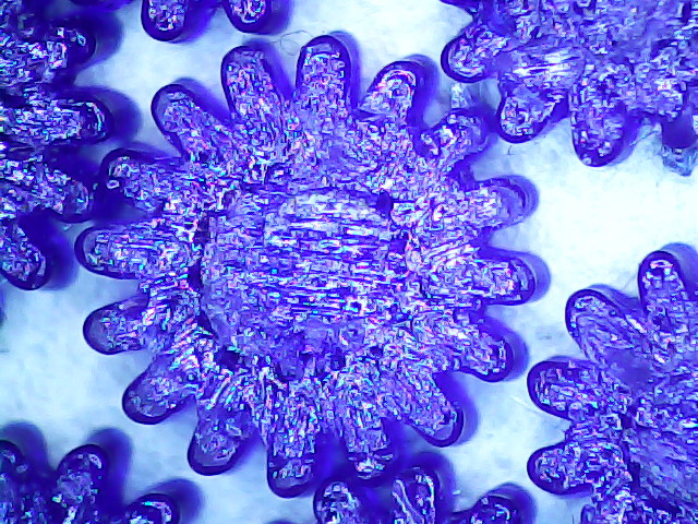 Vacuum Tube Base - support structure - detail