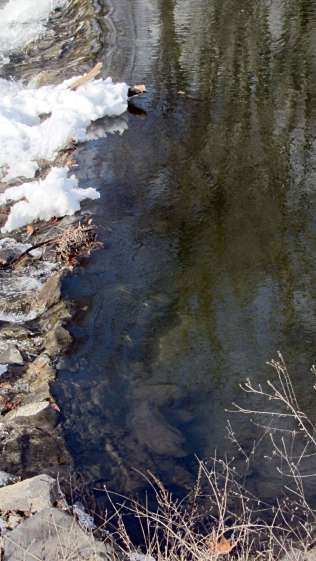 Red Oaks Mill Dam - dam breast upstream rubble