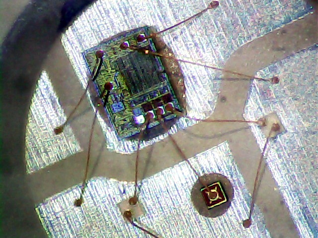 Microscope Illuminator Test