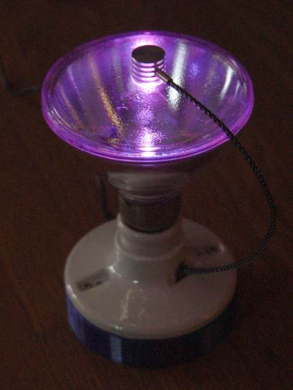 Reflector floodlight - purple phase