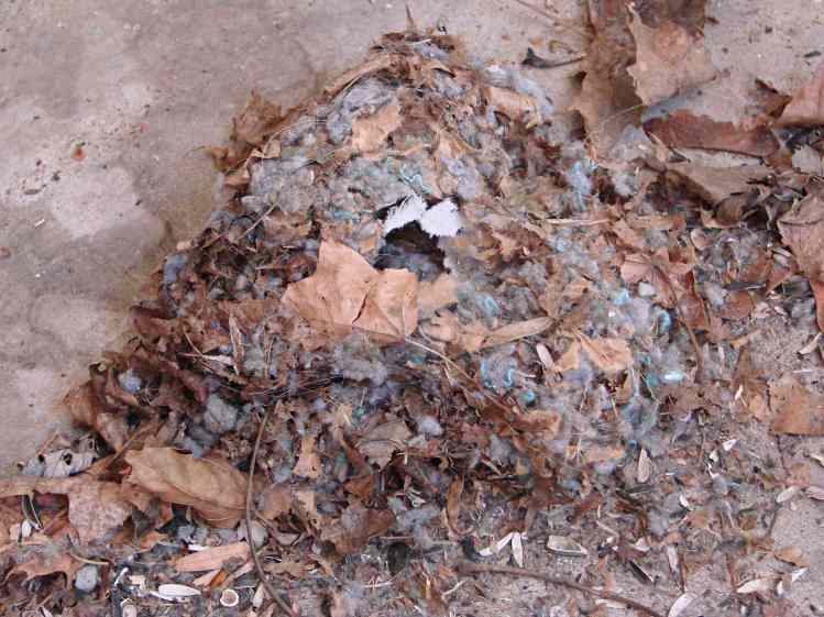 Insulated mouse nest - first look