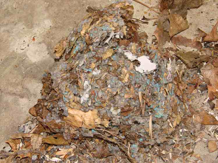 Insulated mouse nest - interior