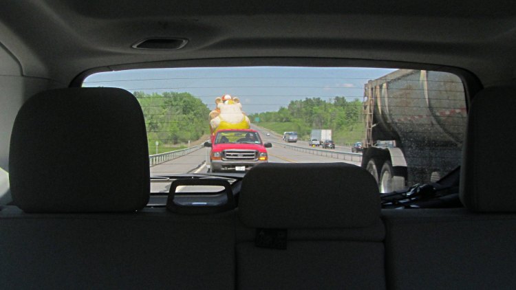 Bears on I-87 - approaching