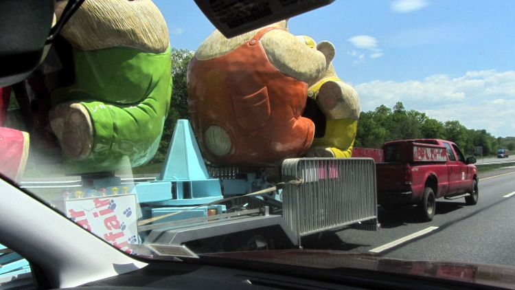 Bears on I-87 - passing