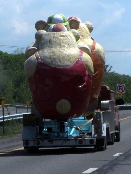 Bears on I-87