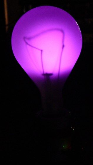 500 W Incandescent - backlit dark