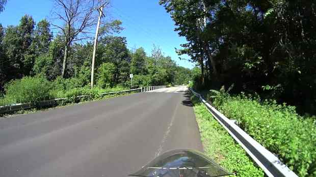 Jackson Rd - Leaf Impact - 2016-06-30 - 0337