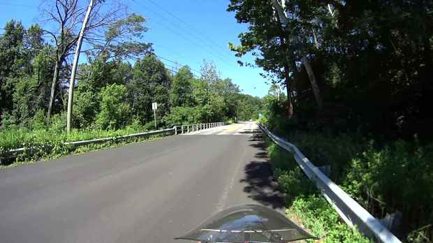 Jackson Rd - Leaf Impact - 2016-06-30 - 0373