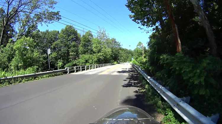 Jackson Rd - Leaf Impact - 2016-06-30 - 0416