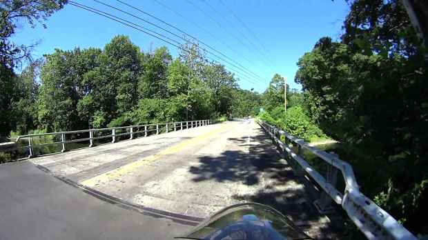Jackson Rd - Leaf Impact - 2016-06-30 - 0464