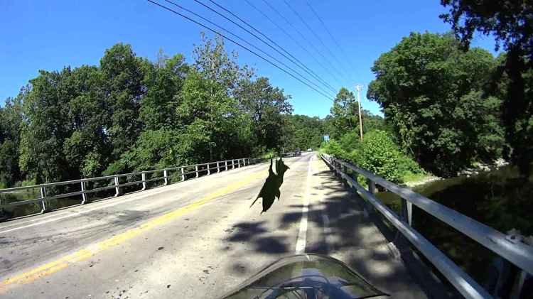 Jackson Rd - Leaf Impact - 2016-06-30 - 0508