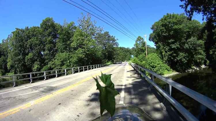 Jackson Rd - Leaf Impact - 2016-06-30 - 0510