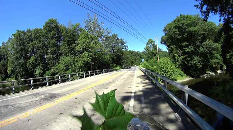 Jackson Rd - Leaf Impact - 2016-06-30 - 0511