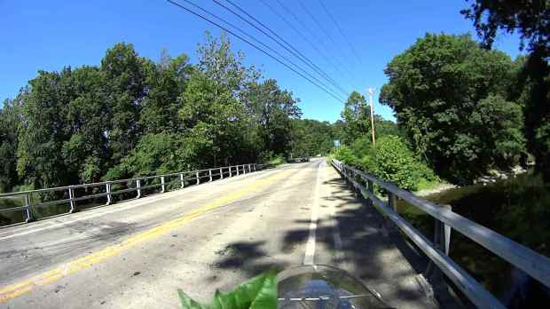 Jackson Rd - Leaf Impact - 2016-06-30 - 0512